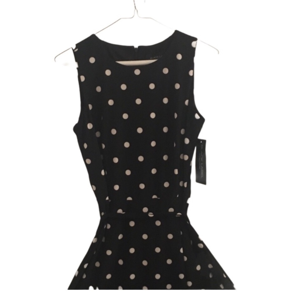 Black Label Sleeveless Crew Neck Pleated Dress